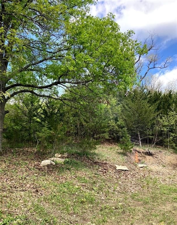 Lot 52 Crystal Drive — photo 19