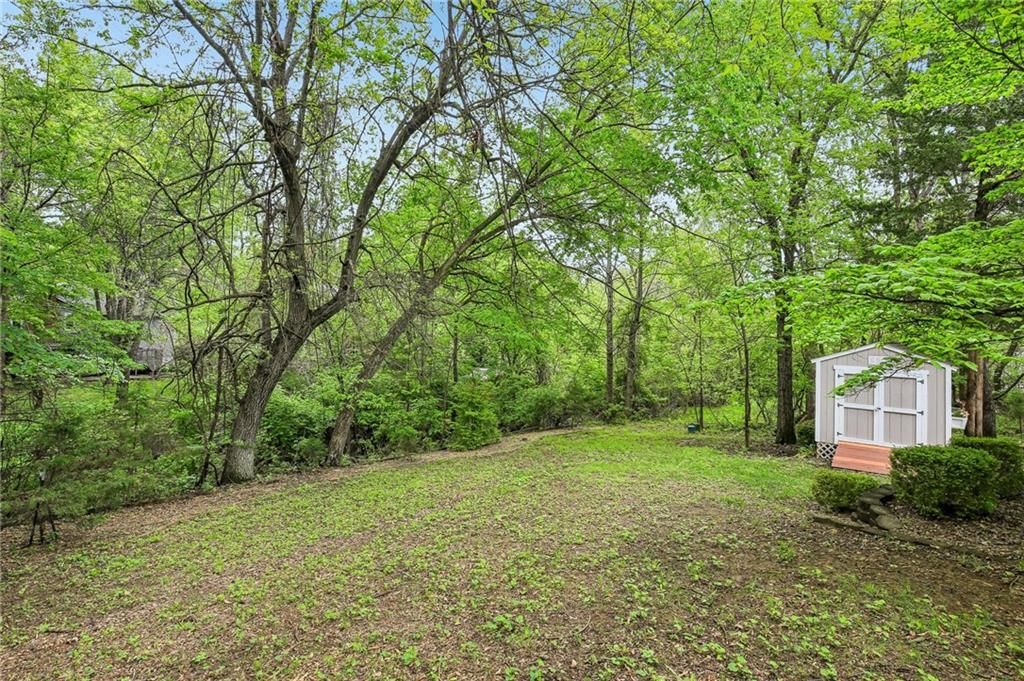 509 Quail Trail — photo 13