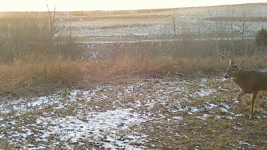 0000 Ottumwa Road — photo 10