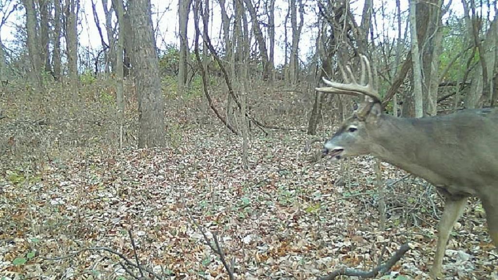 0000 Ottumwa Road — photo 21