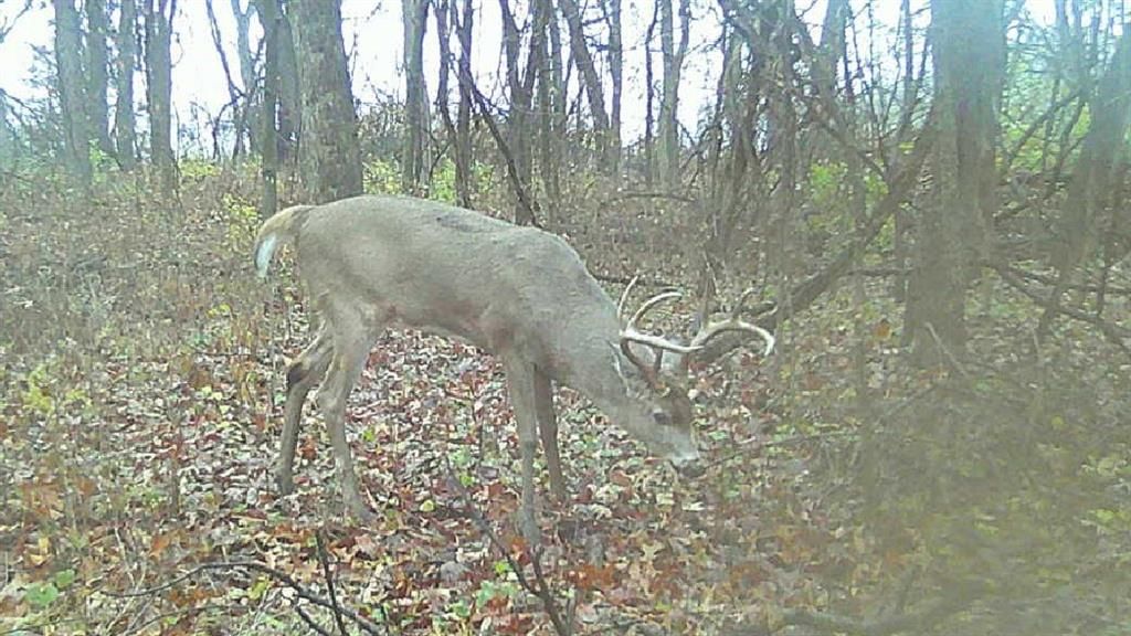 0000 Ottumwa Road — photo 23