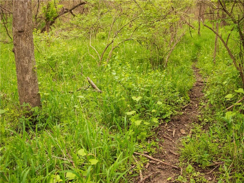 0000 Ottumwa Road — photo 33