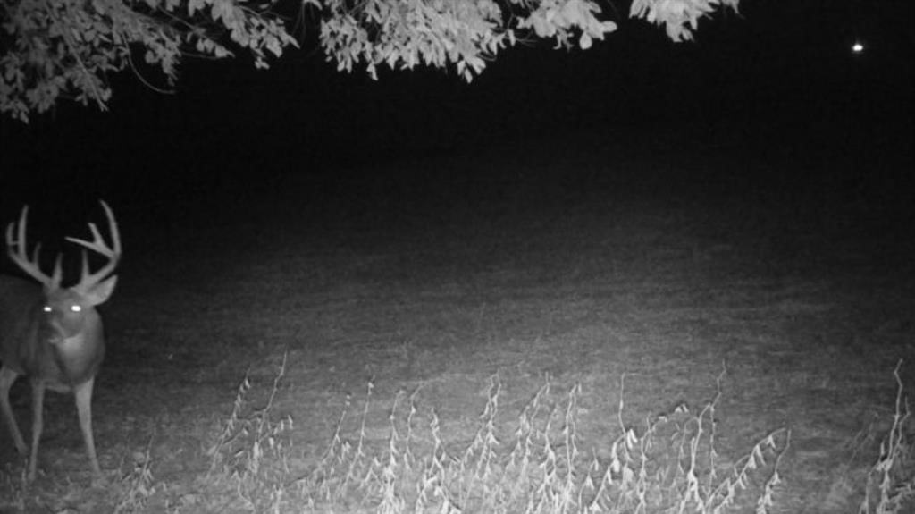 0000 Ottumwa Road — photo 44