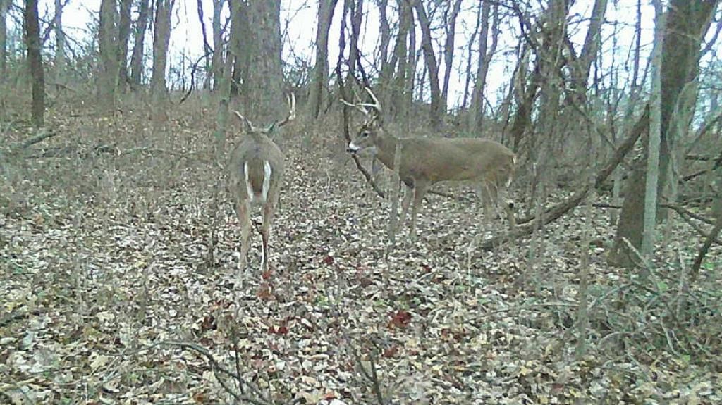 0000 Ottumwa Road — photo 53