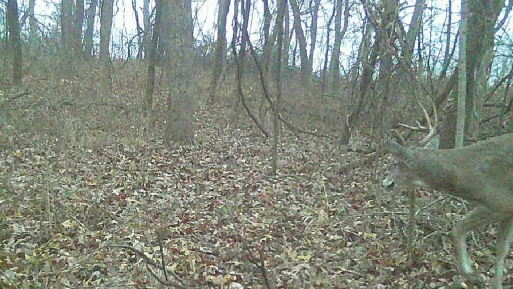 0000 Ottumwa Road — photo 54