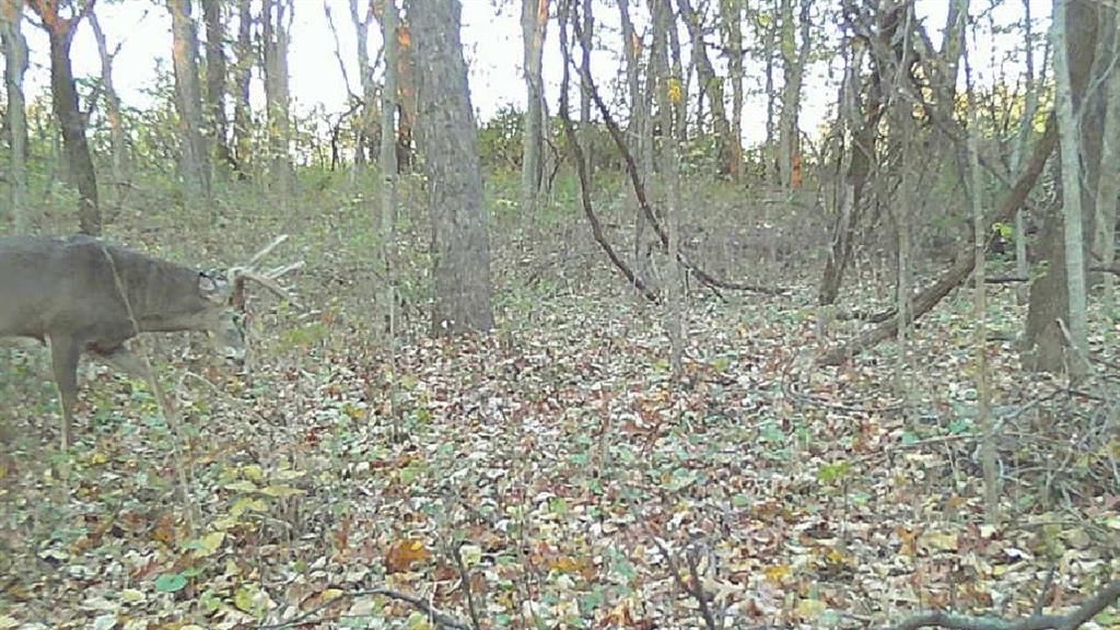 0000 Ottumwa Road — photo 64