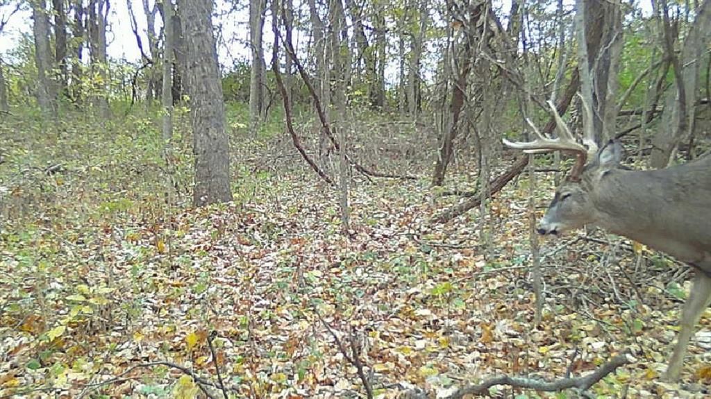 0000 Ottumwa Road — photo 65