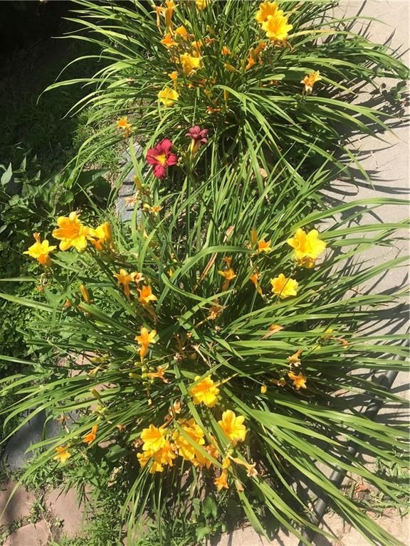 513 NE Balboa Street — photo 52