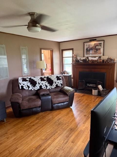 9845 State Route C Highway — photo 4