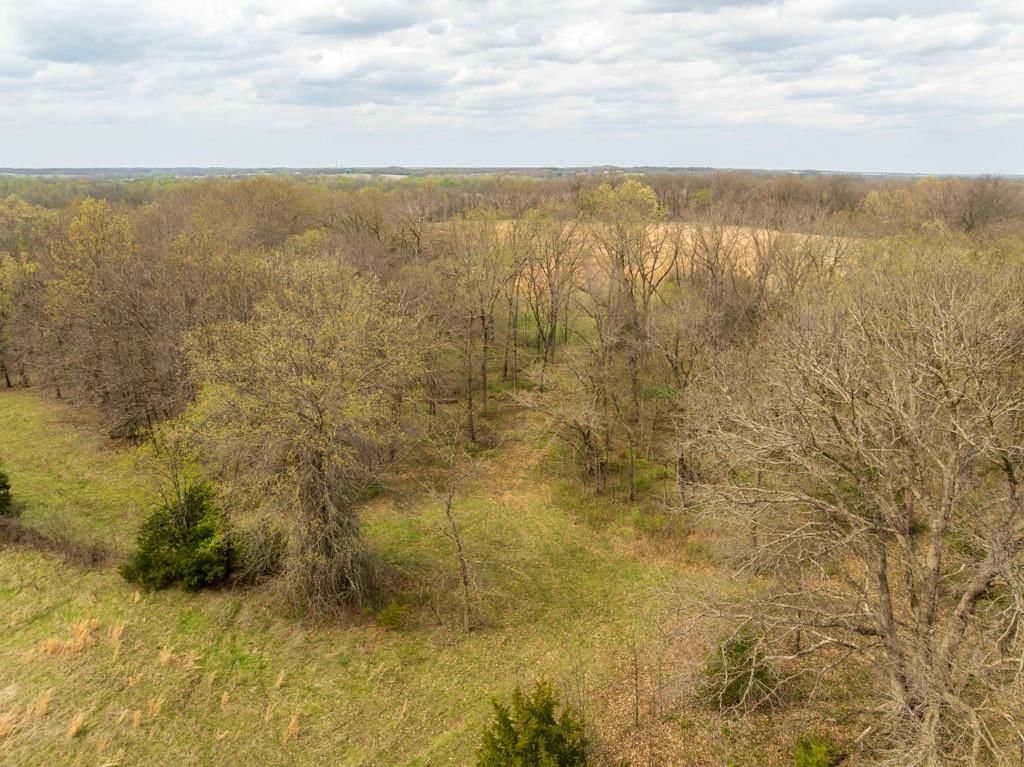 0000 County Road 1123 N/A — photo 12