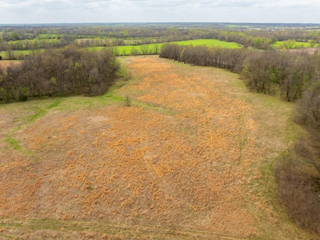 0000 County Road 1123 N/A — photo 16