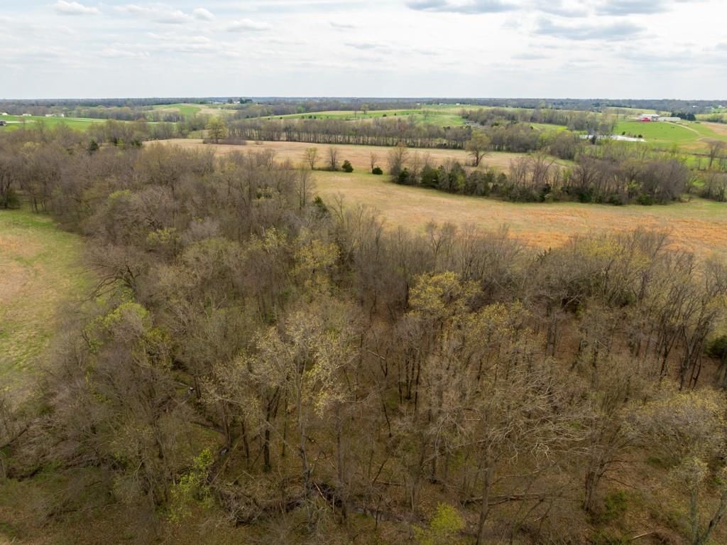 0000 County Road 1123 N/A — photo 17