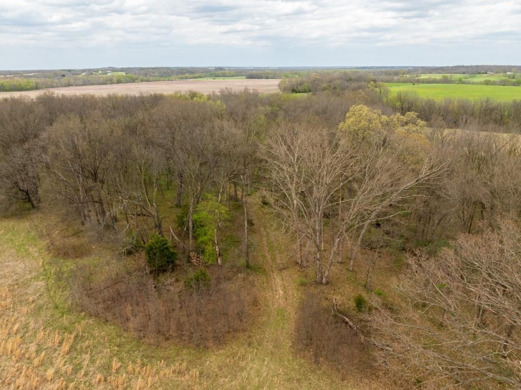 0000 County Road 1123 N/A — photo 18