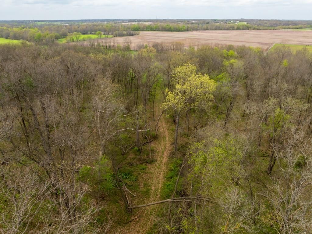 0000 County Road 1123 N/A — photo 19
