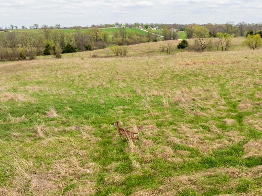 0000 County Road 1123 N/A — photo 32