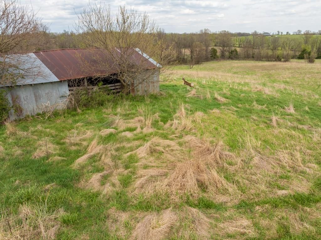 0000 County Road 1123 N/A — photo 33