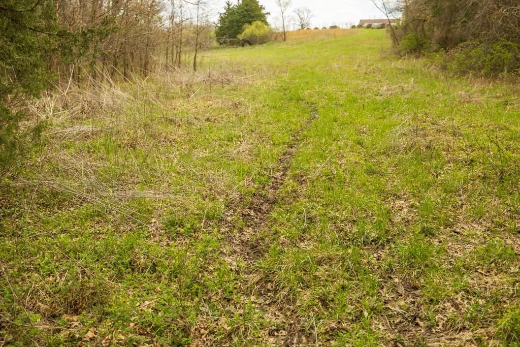 0000 County Road 1123 N/A — photo 35