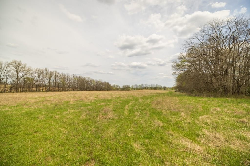 0000 County Road 1123 N/A — photo 40
