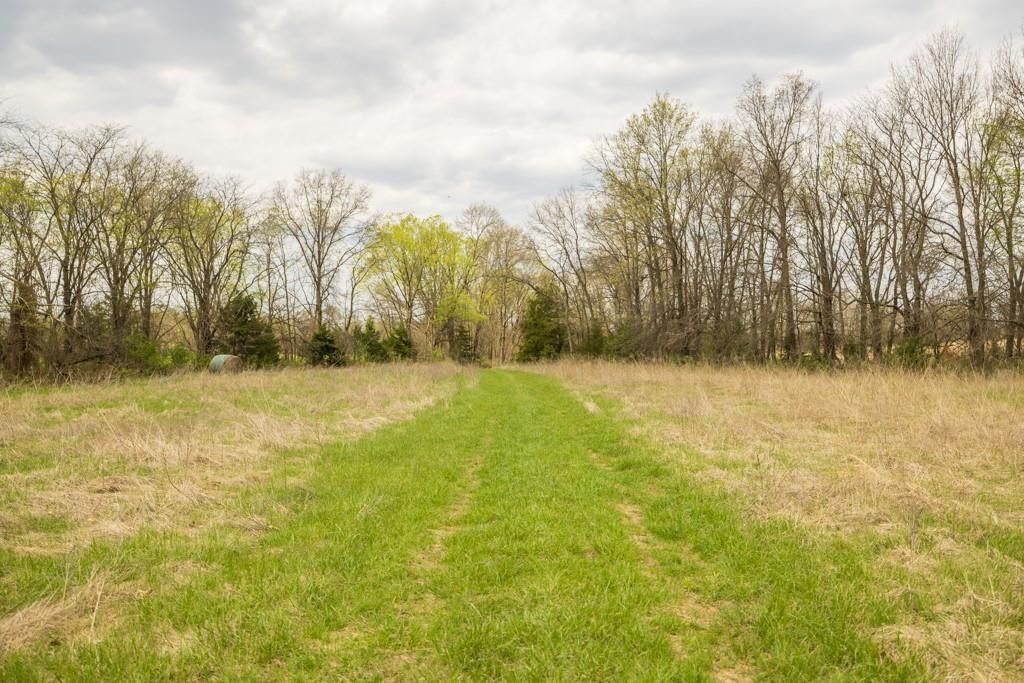 0000 County Road 1123 N/A — photo 41