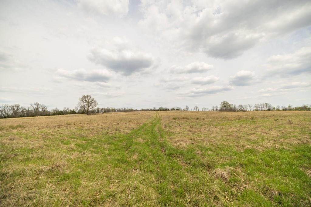 0000 County Road 1123 N/A — photo 43
