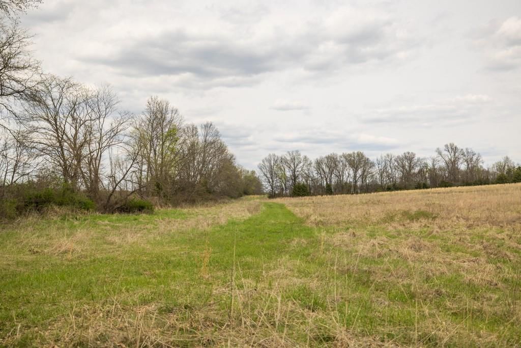 0000 County Road 1123 N/A — photo 45