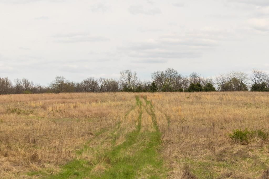 0000 County Road 1123 N/A — photo 46