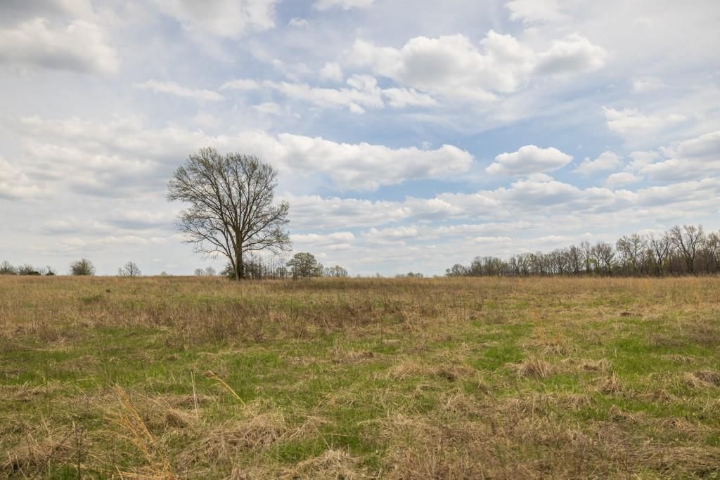 0000 County Road 1123 N/A — photo 47