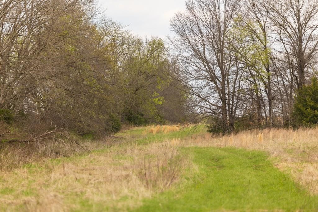 0000 County Road 1123 N/A — photo 48