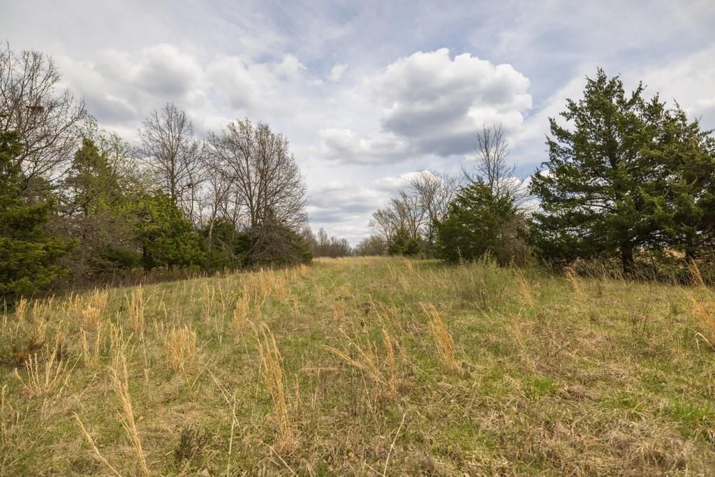 0000 County Road 1123 N/A — photo 49
