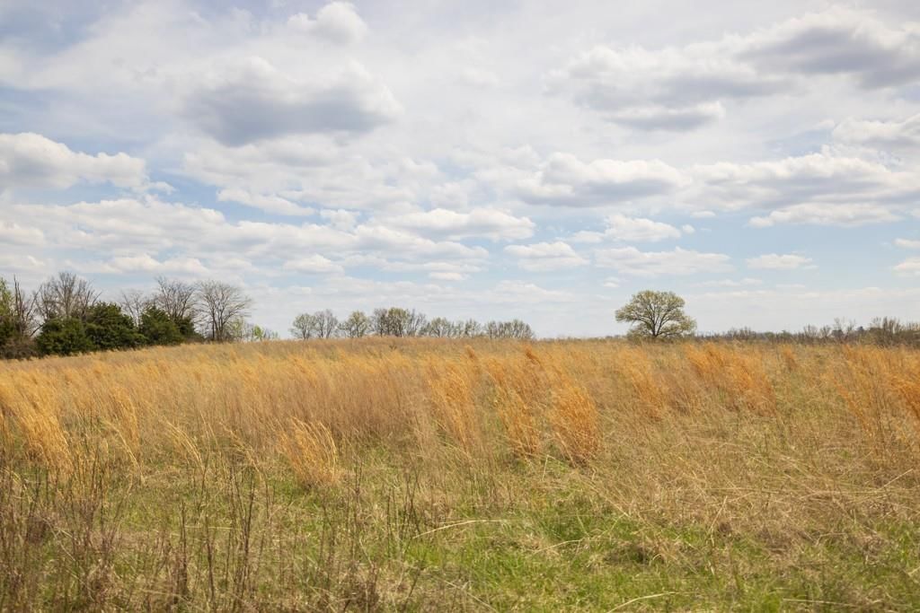0000 County Road 1123 N/A — photo 50