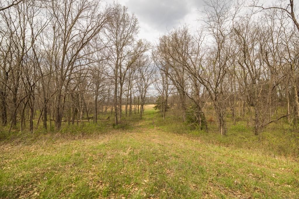 0000 County Road 1123 N/A — photo 52