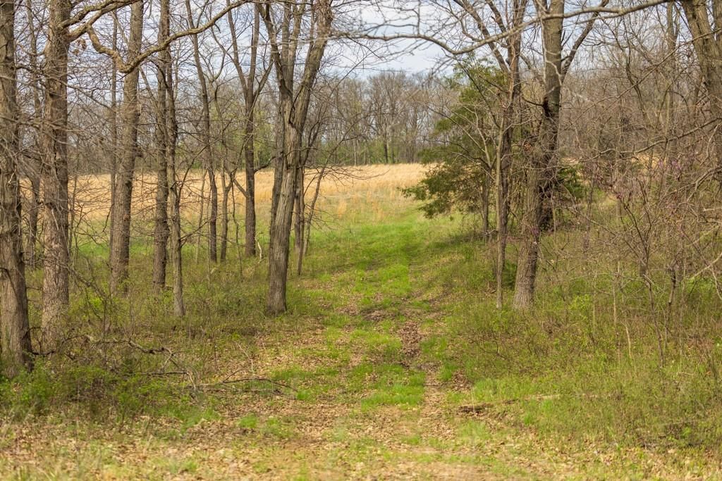 0000 County Road 1123 N/A — photo 53