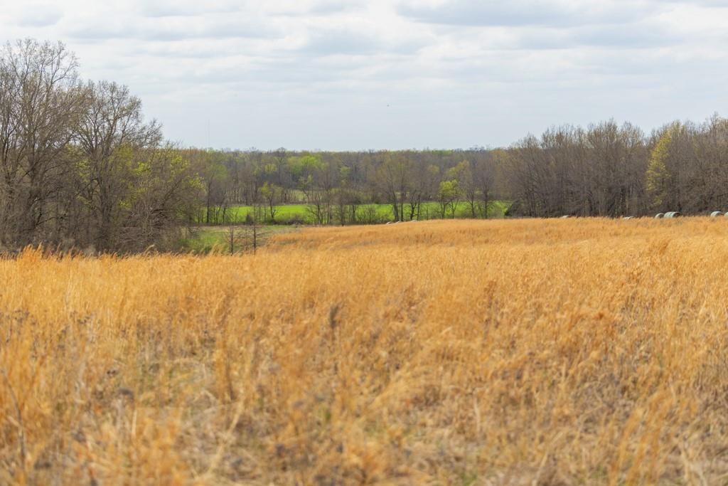0000 County Road 1123 N/A — photo 55