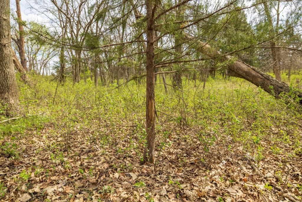 0000 County Road 1123 N/A — photo 57