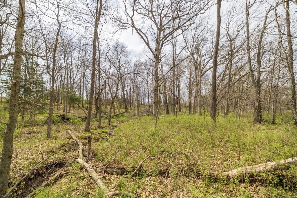 0000 County Road 1123 N/A — photo 59