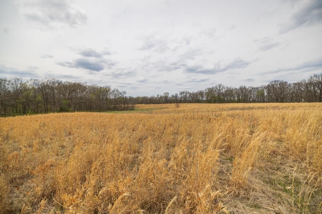 0000 County Road 1123 N/A — photo 60
