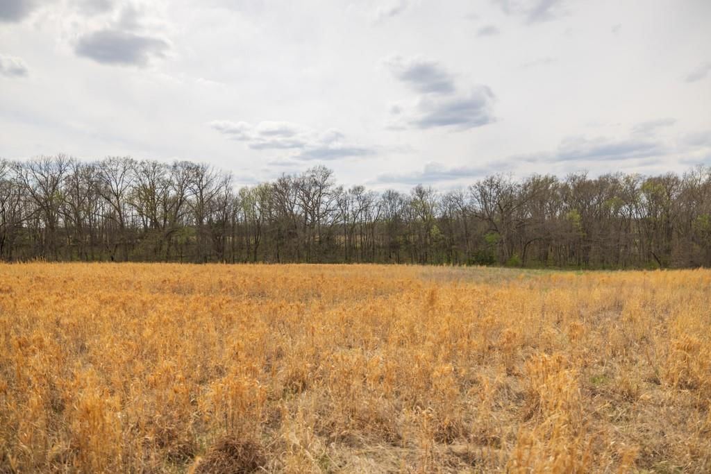 0000 County Road 1123 N/A — photo 62