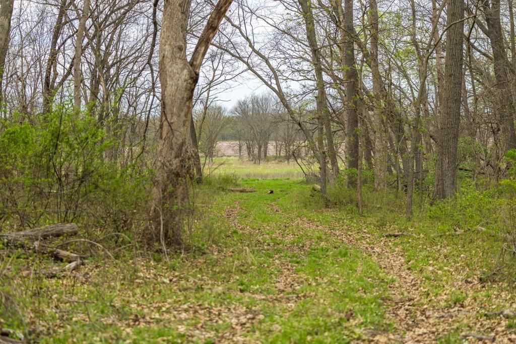 0000 County Road 1123 N/A — photo 63
