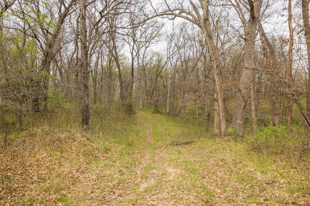 0000 County Road 1123 N/A — photo 64