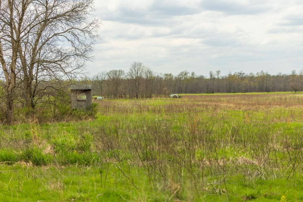 0000 County Road 1123 N/A — photo 65