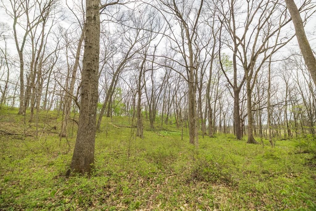 0000 County Road 1123 N/A — photo 66