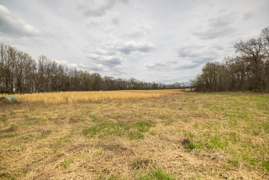 0000 County Road 1123 N/A — photo 70