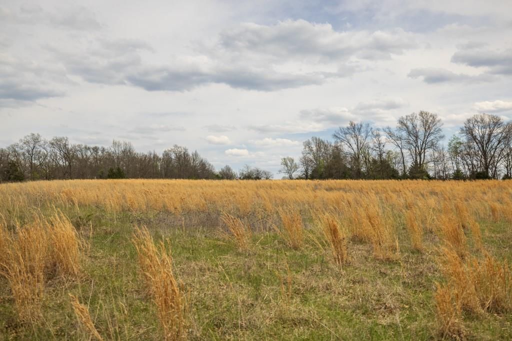 0000 County Road 1123 N/A — photo 71