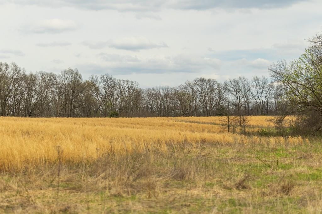 0000 County Road 1123 N/A — photo 72