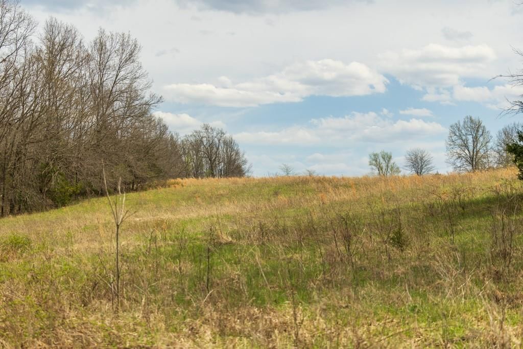0000 County Road 1123 N/A — photo 73