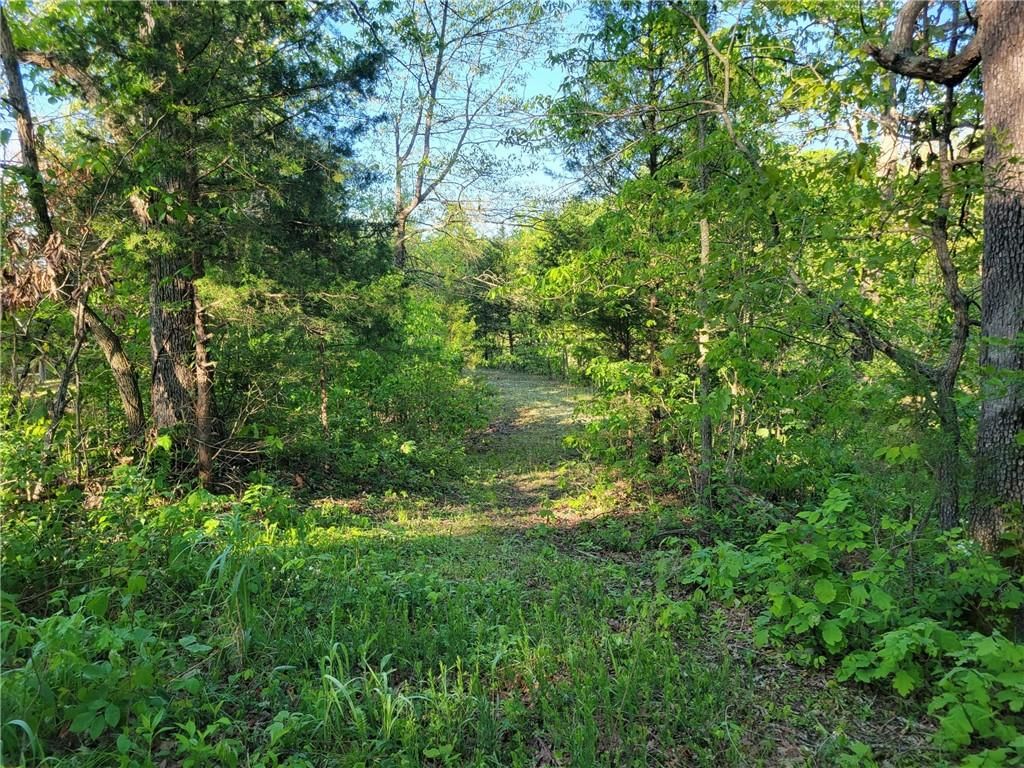 8780 SW 75 PVT Road — photo 8