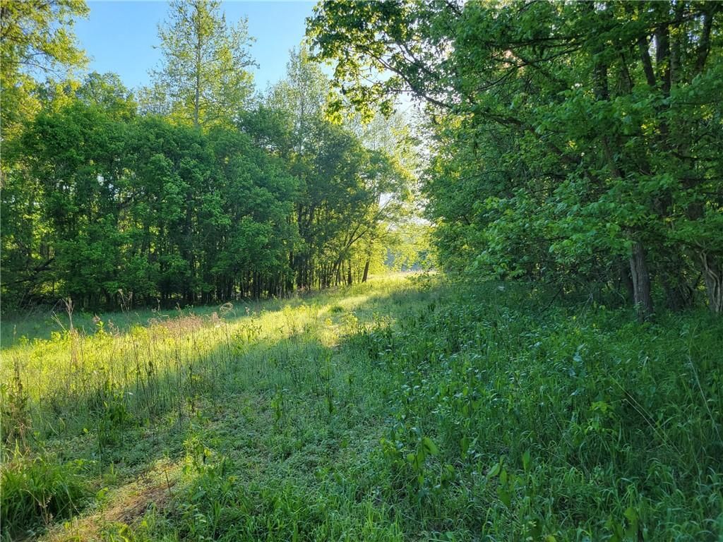 8780 SW 75 PVT Road — photo 17