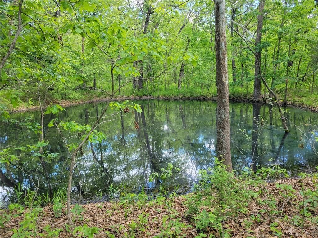 8780 SW 75 PVT Road — photo 47