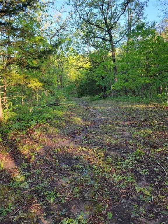 8780 SW 75 PVT Road — photo 48