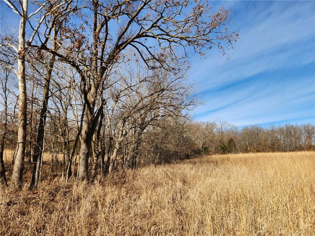 8780 SW 75 PVT Road — photo 59